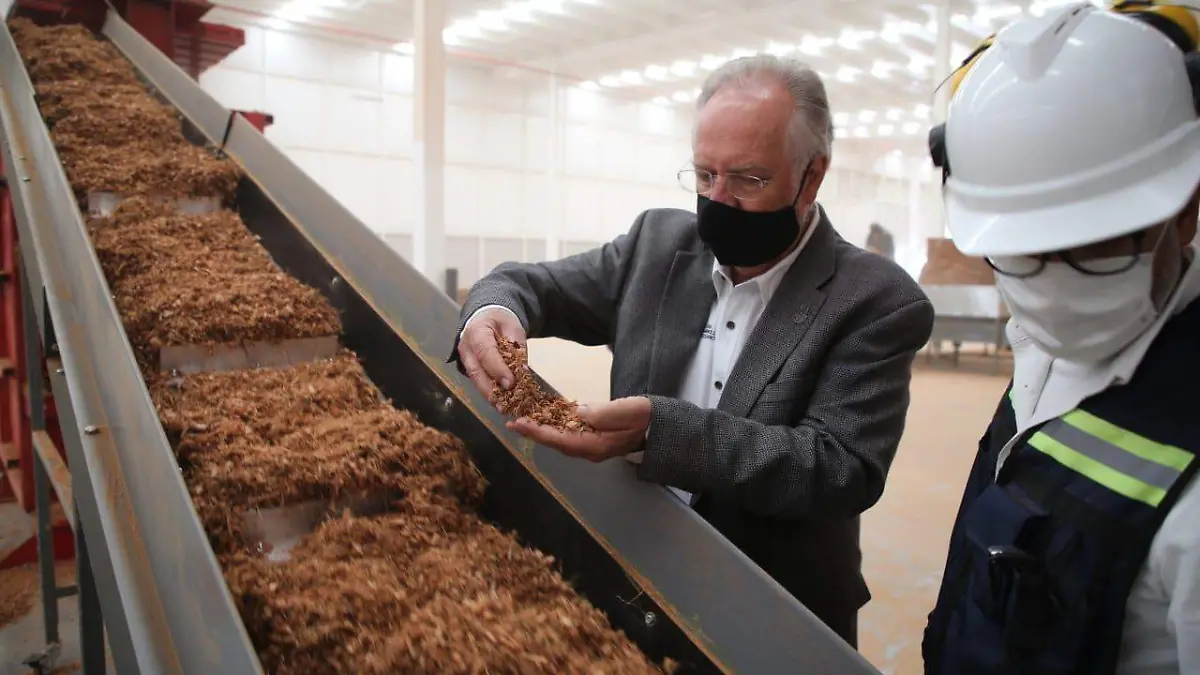 Producción de Coco 2