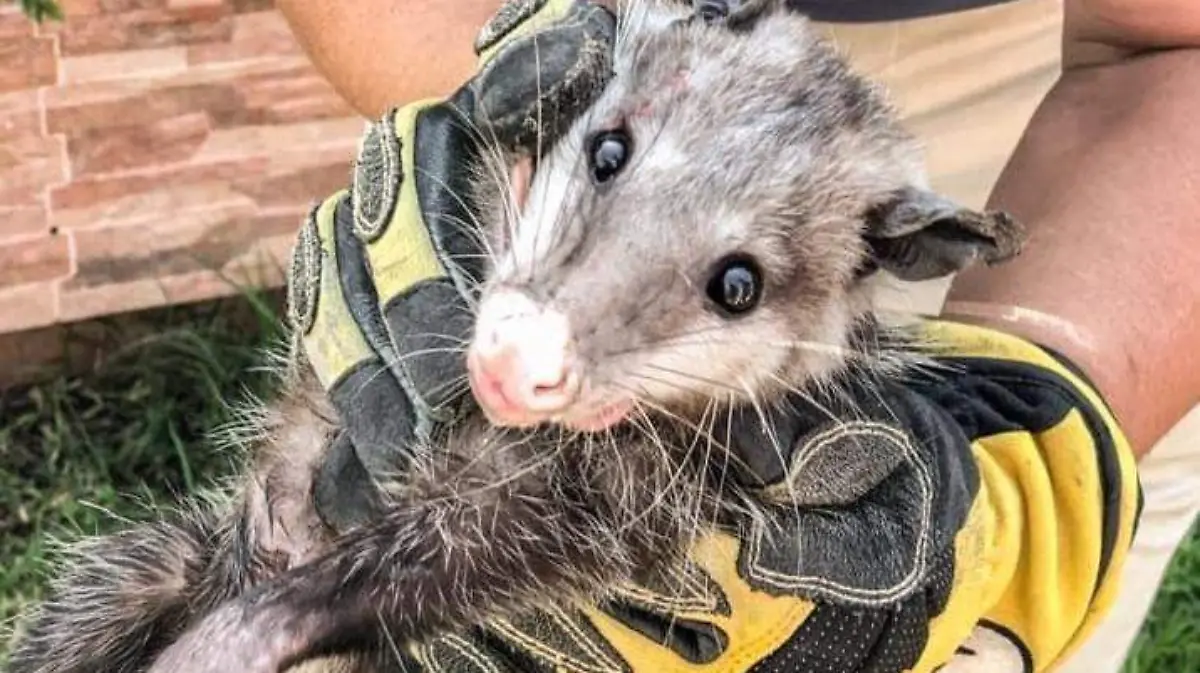 WhatsApp Image 2020-10-24 at 5.05.50 PM