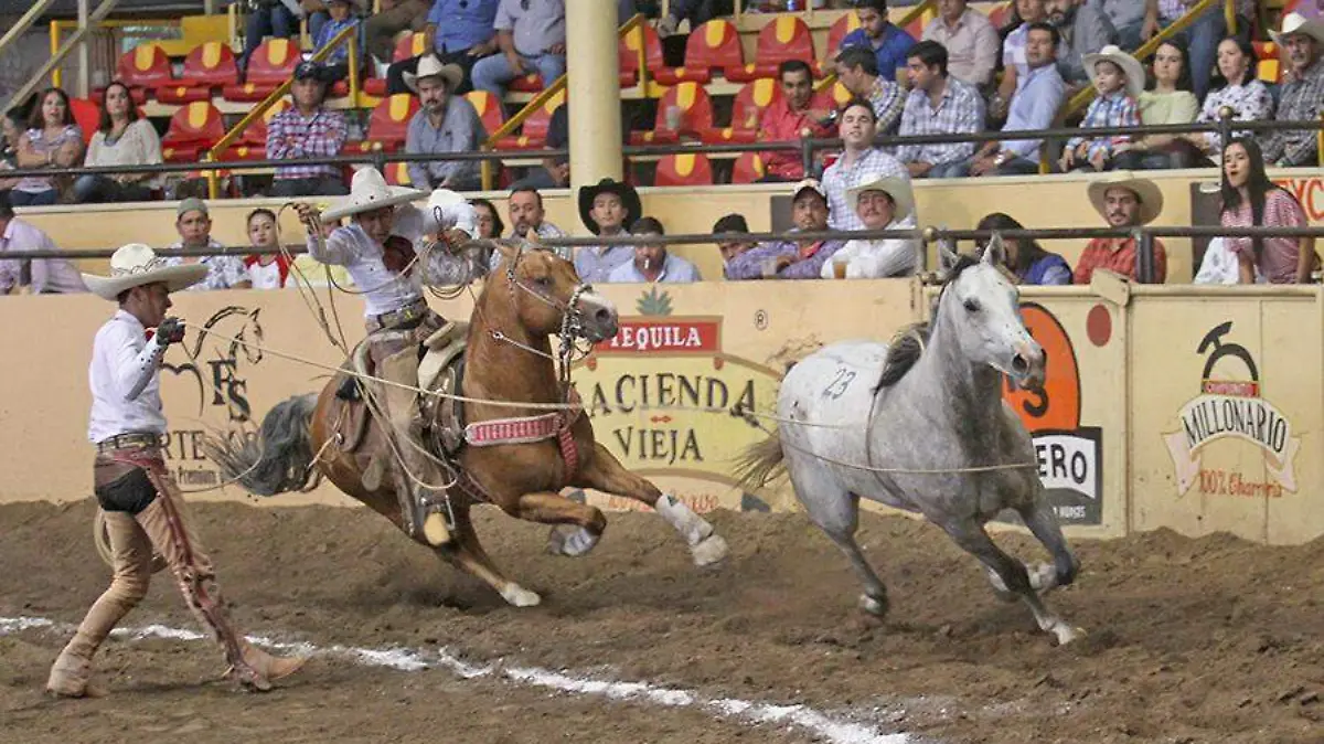 EL DEPORTE (2)