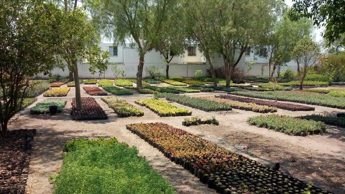 Vivero Municipal