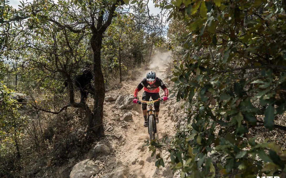 DEP 22 EN LO QUE LE APASIONA