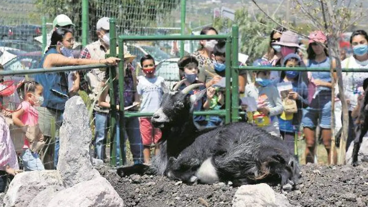 MINI ZOOO_GRAN RESERVA_23_CMYK