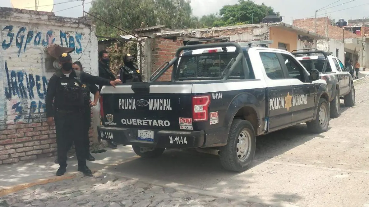 WhatsApp Image 2021-07-21 at 4.42.52 PM