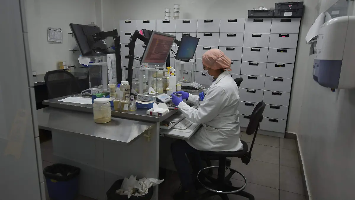 AREAS DE INVESTIGACION