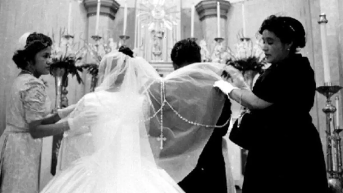 Medium sized JPEG (19)