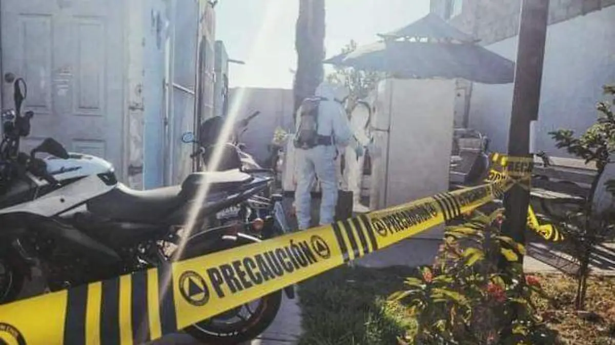 0bf2f6ce-c7bc-465b-97e8-795f30e5f018