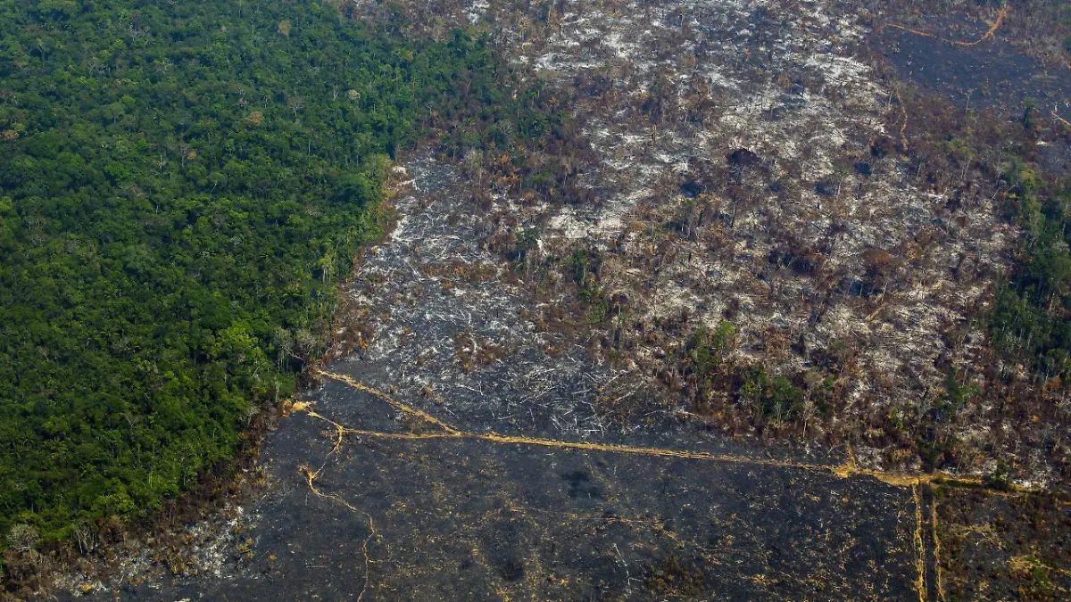 amazonía deforestación-AFP