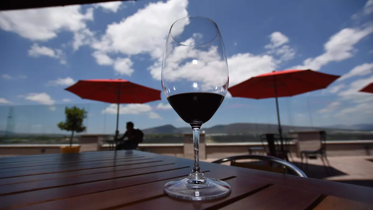 FRE_RECORRIDO_VIÑEDOS_170423-9906