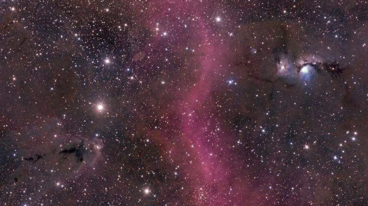 Estrella 5