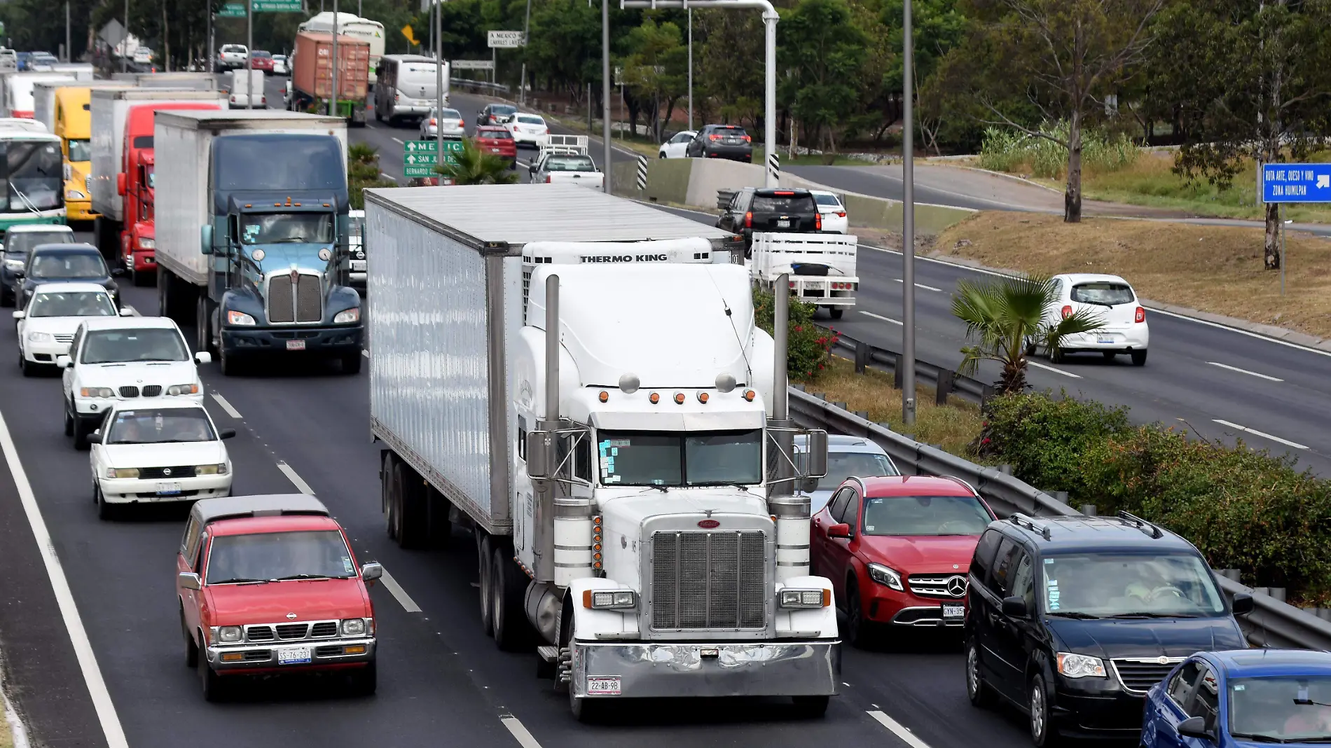 TRANSPORTISTAS