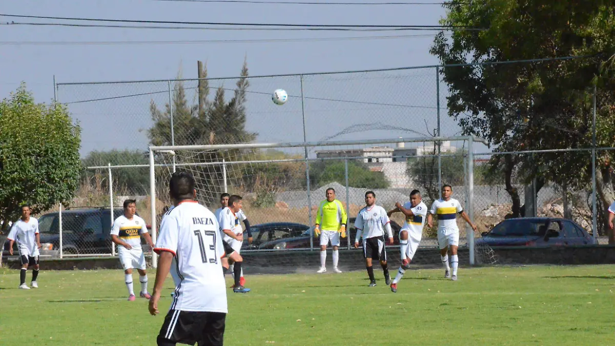 31 01 PRINCIPAL MUCHO