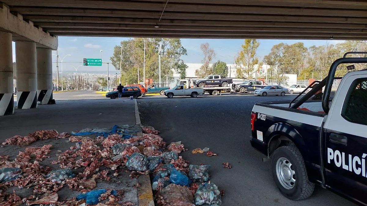 f9109671-b589-4875-a641-03fdc62ea9b9