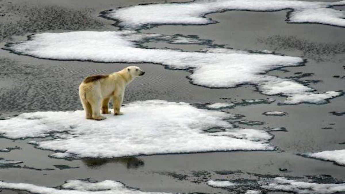 La desaparición del hielo: un problema acelerado