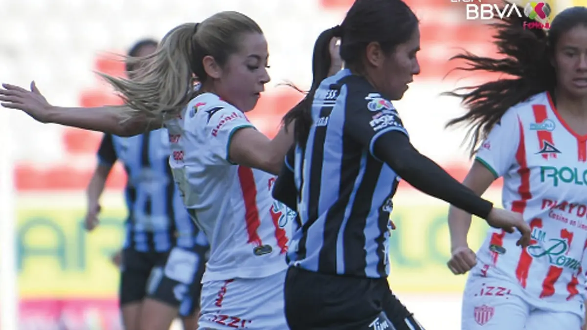 gallos-femenil-2