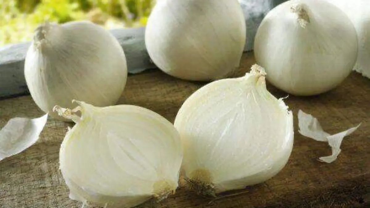 Cebolla 2