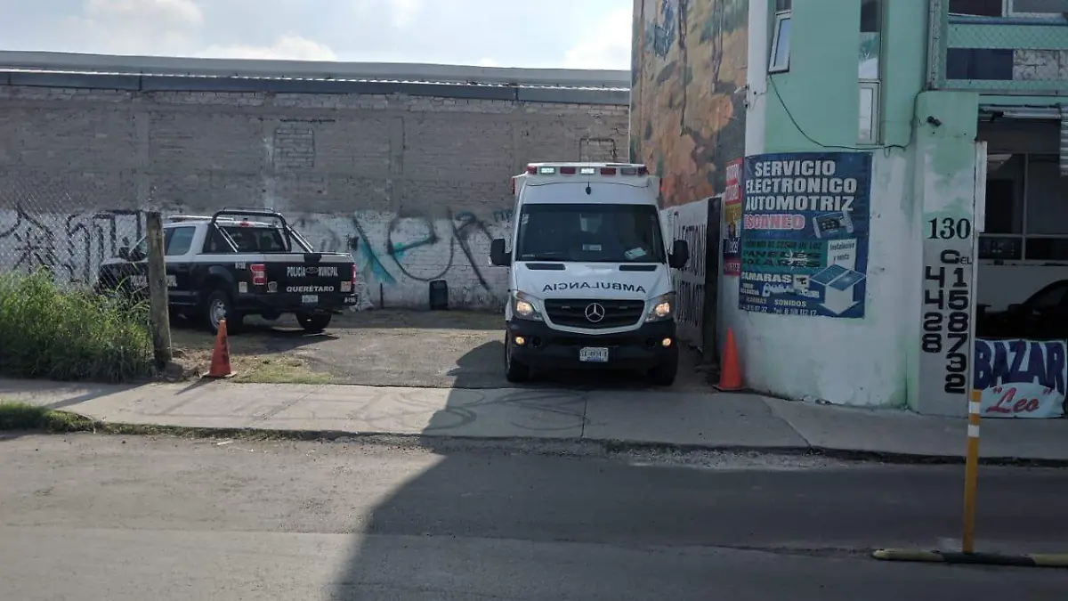 8b7758ee-4df2-4259-a753-8ee7bd5a9b00