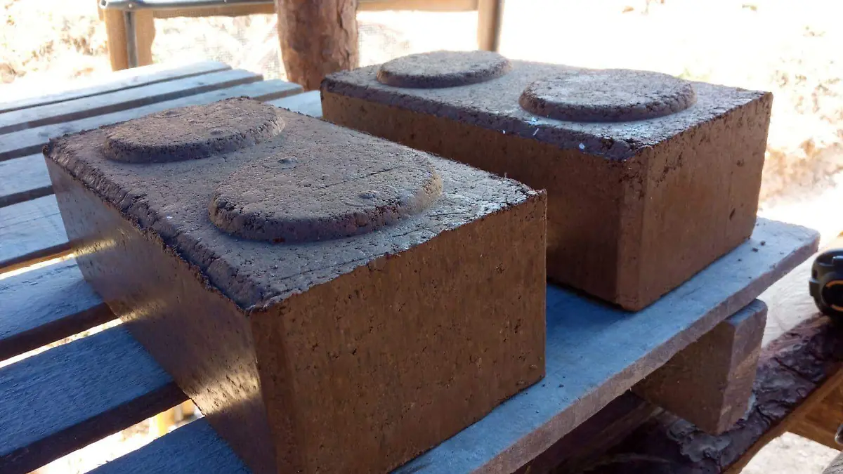 WhatsApp Image 2022-05-22 at 12.06.22 PM