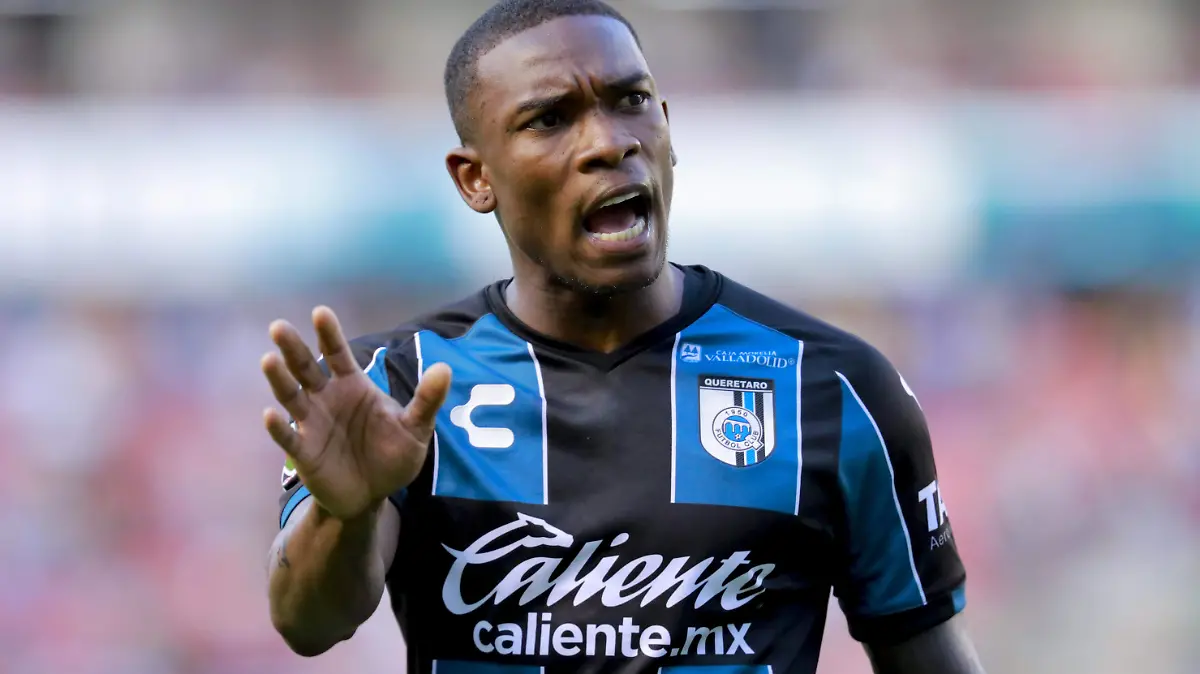gallos