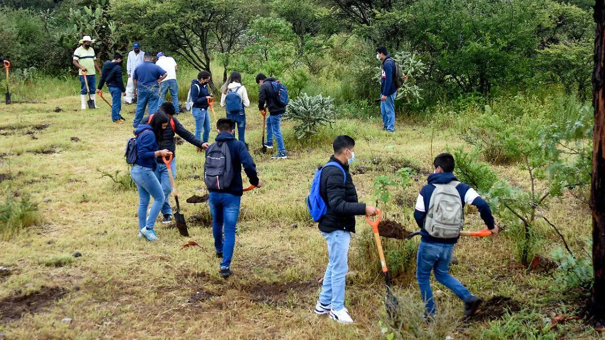 Alumnos plantan árbol-YL