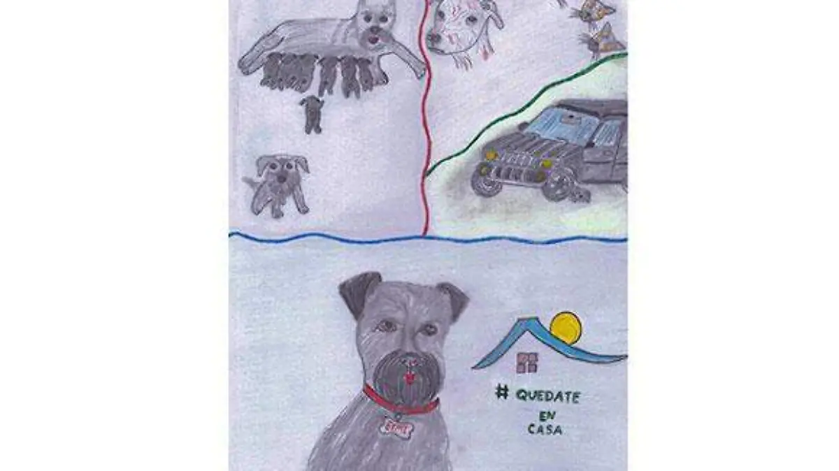 historia-de-mi-vida