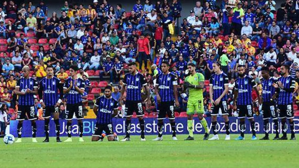 gallos-blancos