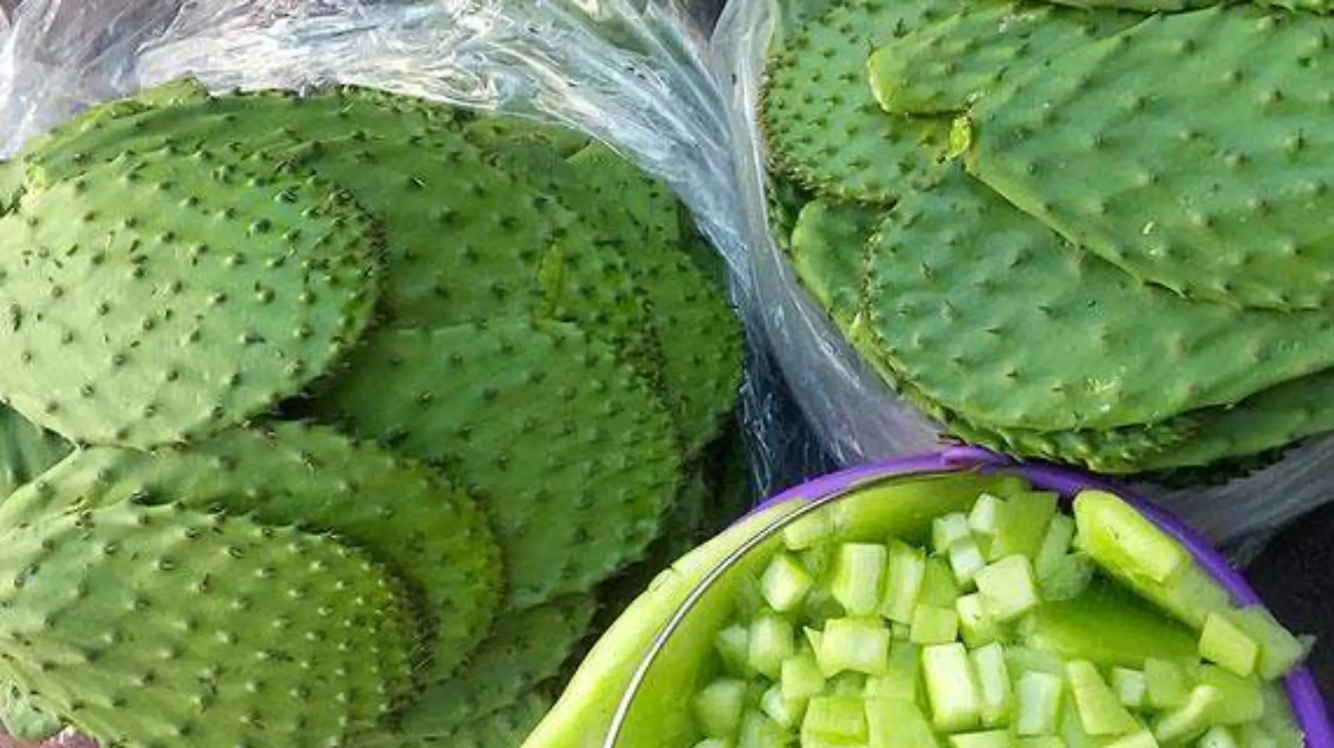 nopal