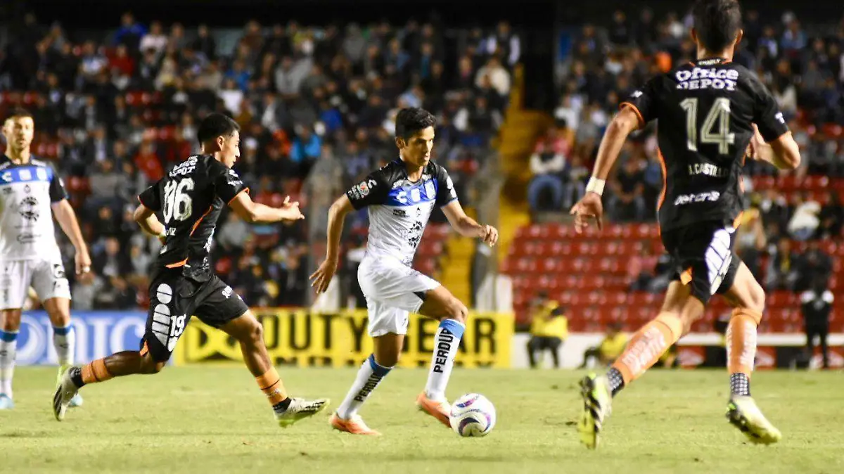 Gallos Blancos