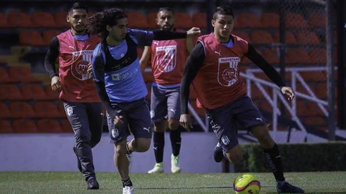 GALLOS