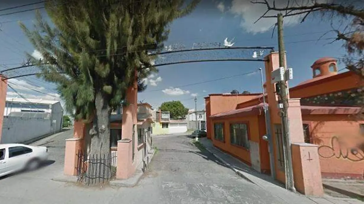 frac pajaros