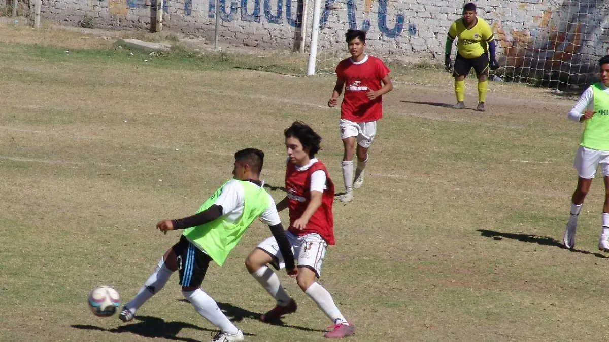 WhatsApp Image 2021-01-04 at 2.06.35 PM