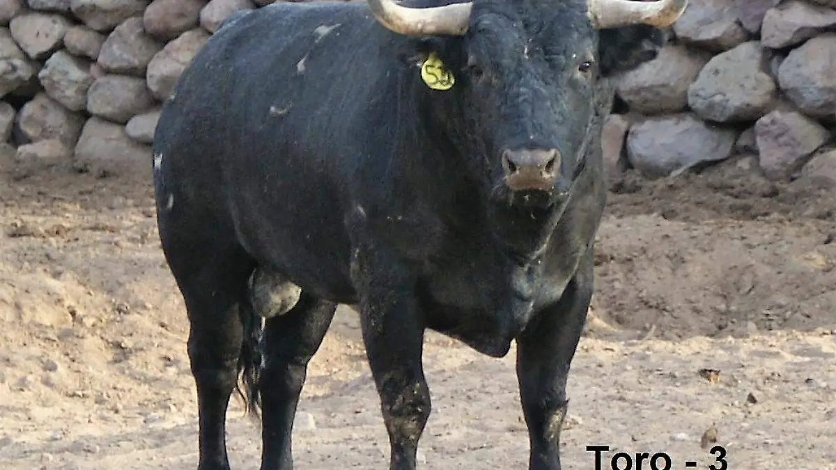 TOROS 2
