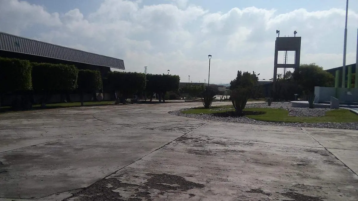 LA UNIVERSIDAD