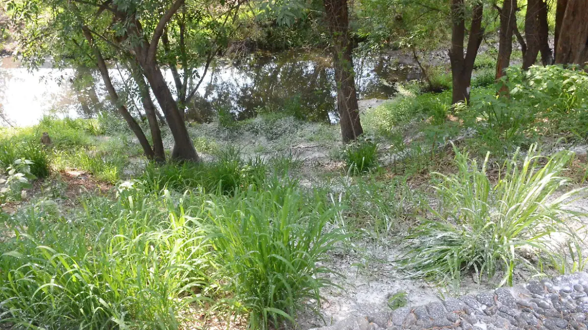 Como solución momentánea, Ecología arrojó cal en el talud de la zona del río contaminada.  Foto Luis Luévanos.