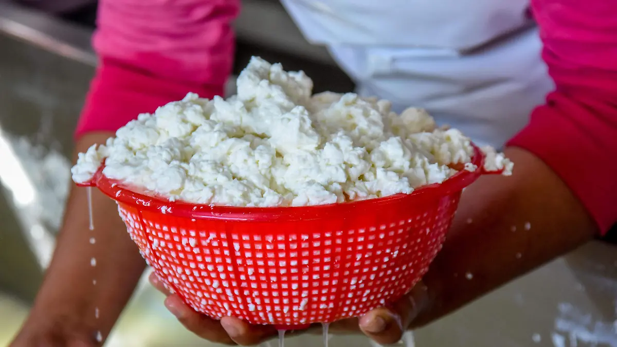 220303_QUESO PANELA_YLM  (18)