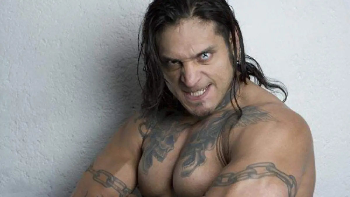 Cibernetico