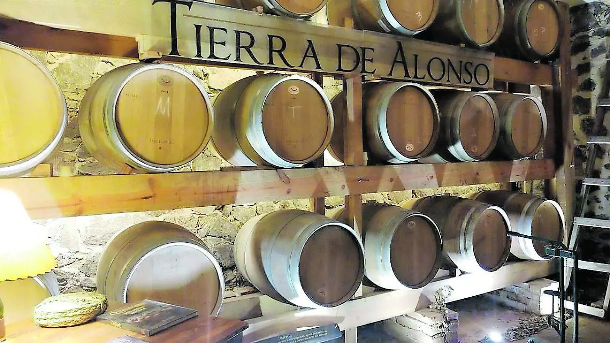 Tierra Alonso (5)_CMYK