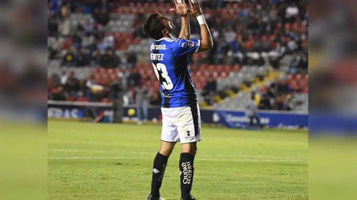 gallos