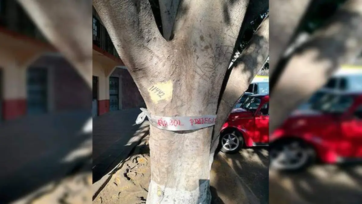 ecocidio