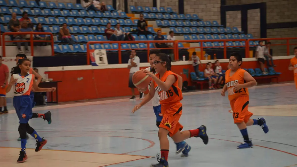 31 01 PRINCIPAL ACCIONES