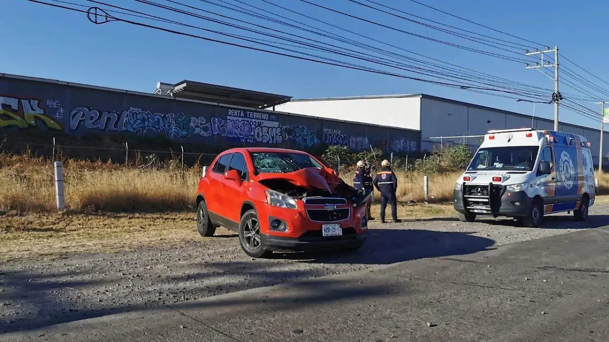 WhatsApp Image 2021-02-12 at 5.22.54 PM