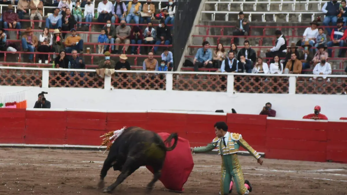 toros