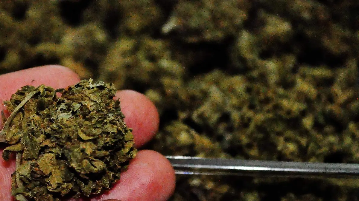 marihuana (2)