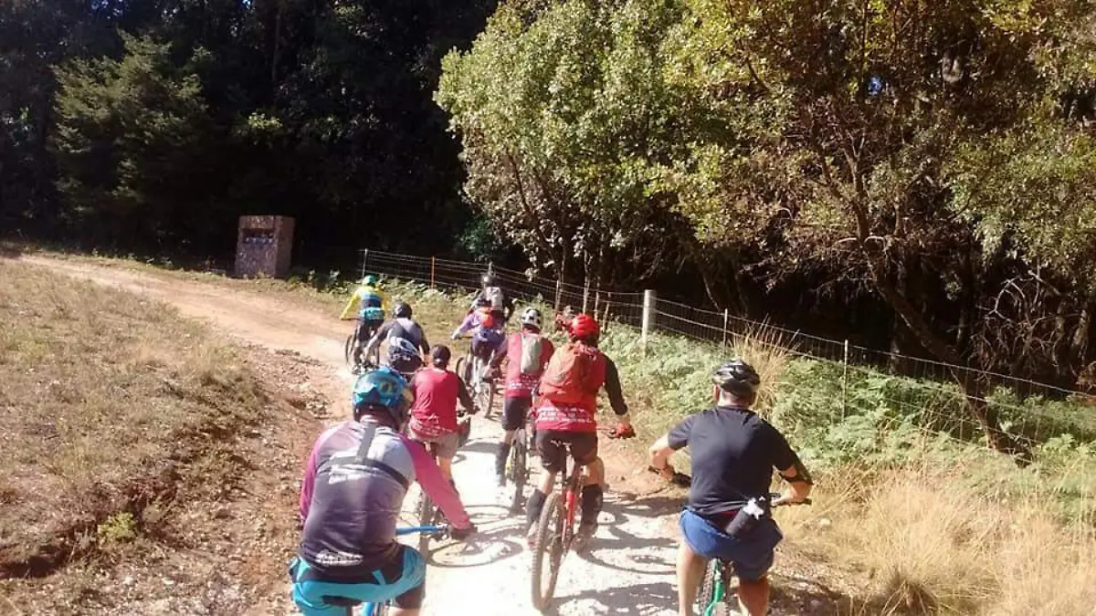 Competidores de diversos estados visitarán el hermoso bosque.  foto Cortesía.