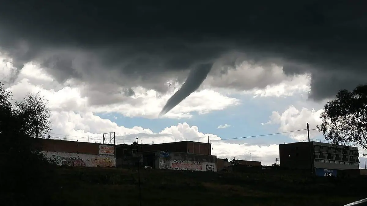 WhatsApp Image 2020-07-09 at 10.31.58 PM