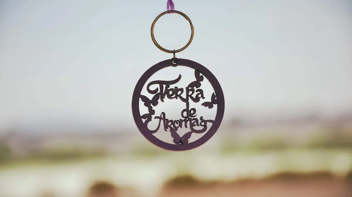 220314_LA MIRADA, CAMPOS DE LAVANDA_AAC 3