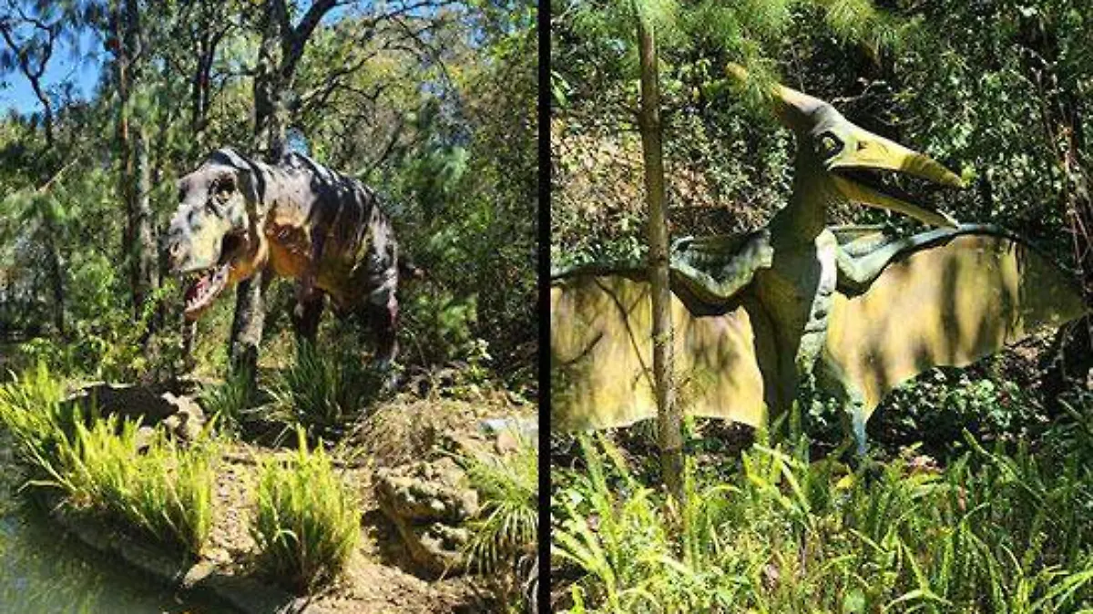 bioparque3
