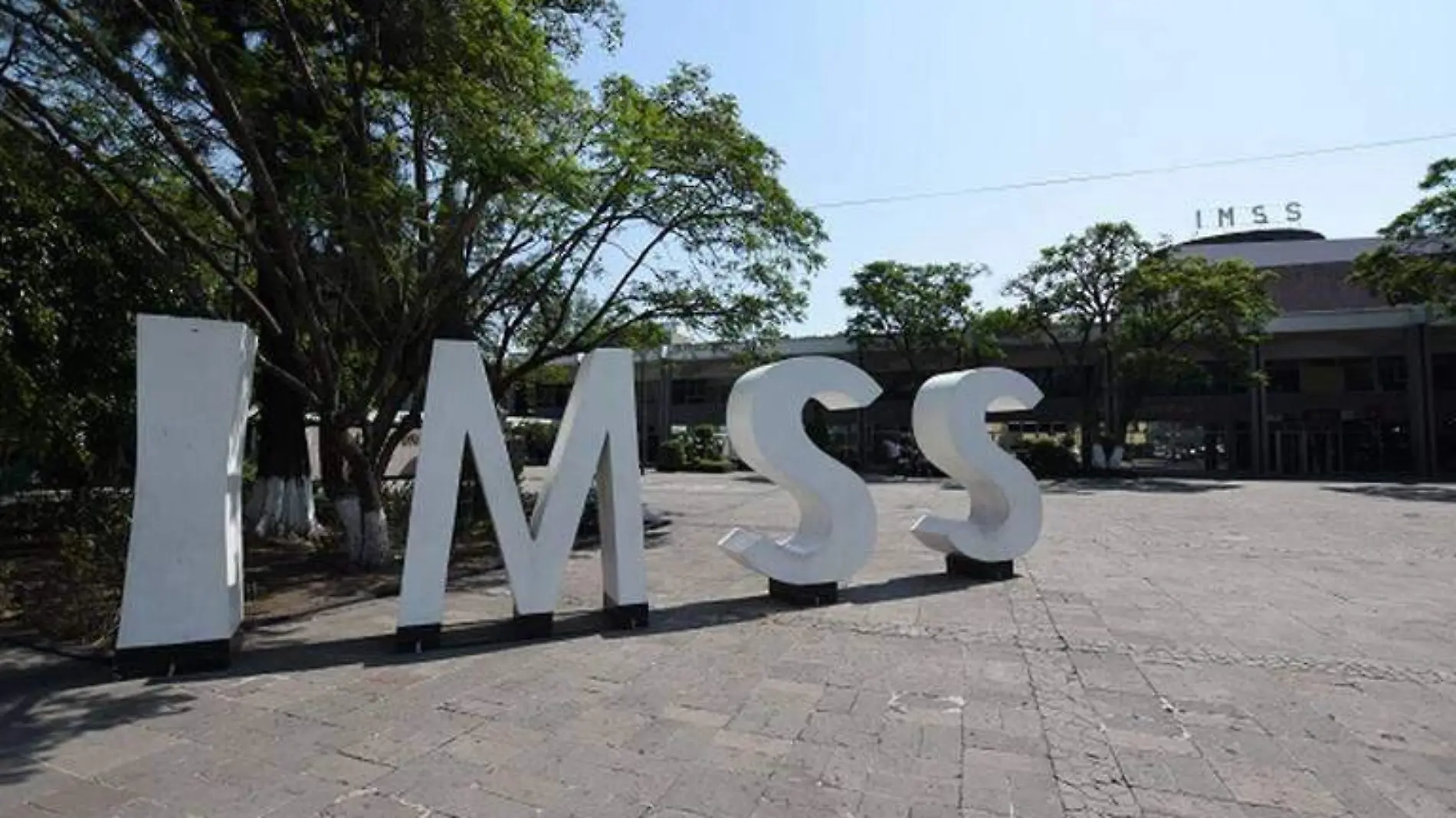 imss