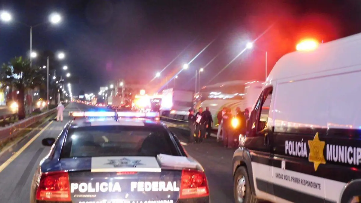 arrollado 1