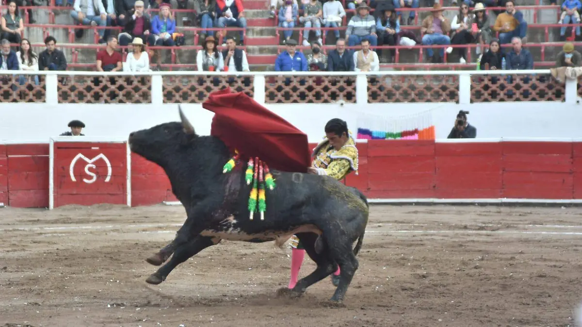 toros