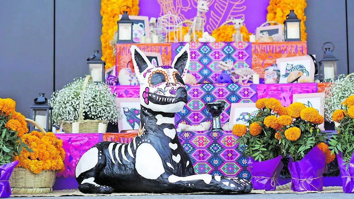 altar canino (2)